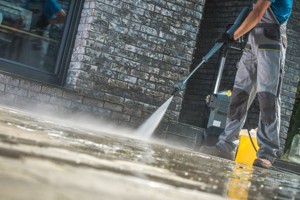 Best Animal Enclosure Cleaning  in Inver Grove Heights, MN